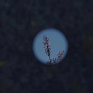 吸奶揉揉咬大扎头免费网站
